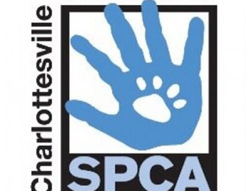 Community Connection: Charlottesville-Albemarle SPCA