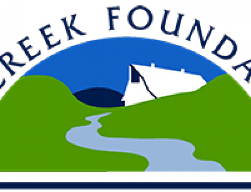 Community Connection: Ivy Creek Foundation